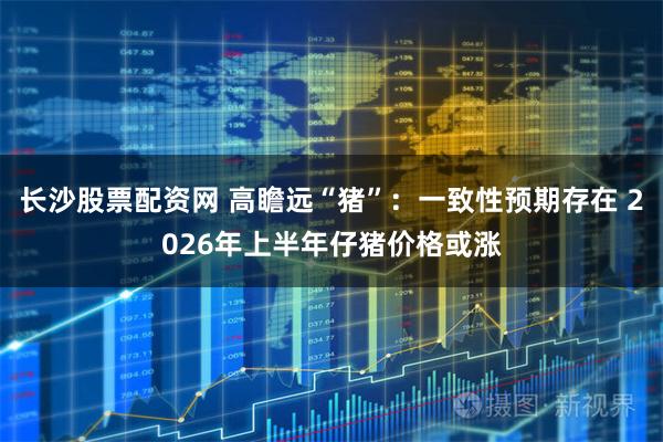 长沙股票配资网 高瞻远“猪”：一致性预期存在 2026年上半年仔猪价格或涨