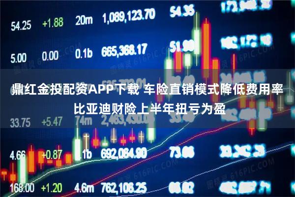 鼎红金投配资APP下载 车险直销模式降低费用率 比亚迪财险上半年扭亏为盈